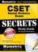 Cset Social Science Exam Secrets Study Guide: Cset Test Review for the California Subject Examinations for Teachers by Cset Exam Secrets Test Prep