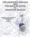 The Digestive Process and the Role of Water in Digestive Health: Digestion Explained with how water affects digestion and health by Steven Roger Sedlmayr