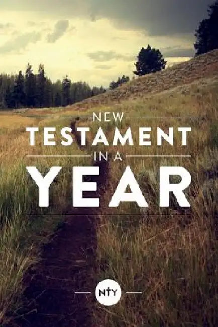 New Testament in a Year by Sean McGever