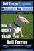 Bull Terrier Training Dog Training with the No BRAINER Dog TRAINER We Make it THAT Easy!: How To EASILY TRAIN Your Bull Terrier by Paul Allen Pearce
