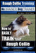 Rough Collie Training Dog Training with the No BRAINER Dog TRAINER We Make it THAT Easy!: How to EASILY TRAIN Your Rough Collie by Paul Allen Pearce
