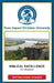 Biblical Excellence for students by Team Impact Christian University