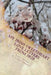 My Irish Sweetheart: Love Letters from 1928 by Terrie McClay