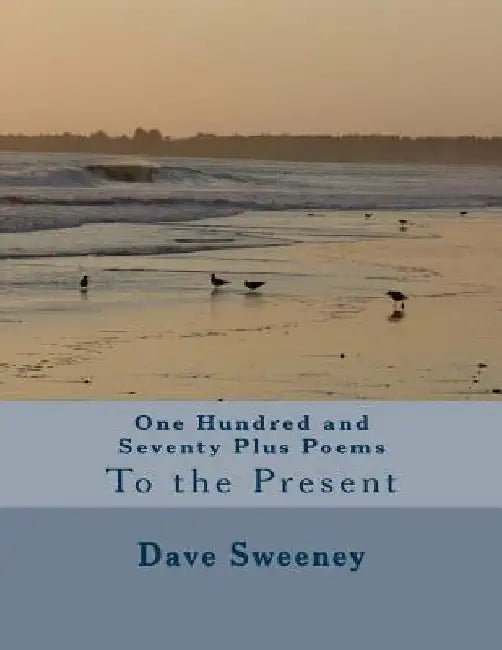 One Hundred and Seventy Plus Poems by Dave Sweeney