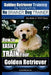 Golden Retriever Training Dog Training with the No BRAINER Dog TRAINER We Make it THAT Easy!: How to EASILY Train Your Golden Retriever by Paul Allen Pearce