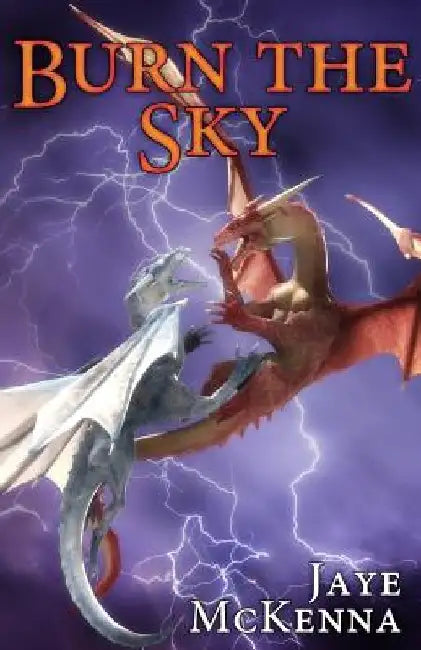 Burn the Sky by Jaye McKenna