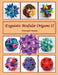 Exquisite Modular Origami II by Meenakshi Mukerji
