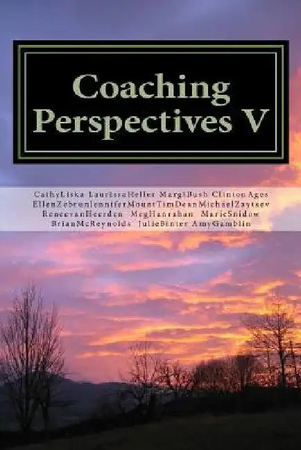 Coaching Perspectives V by Meg Hanrahan
