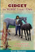 Gidget -- The Horse I didn't Own by Alex McGilvery