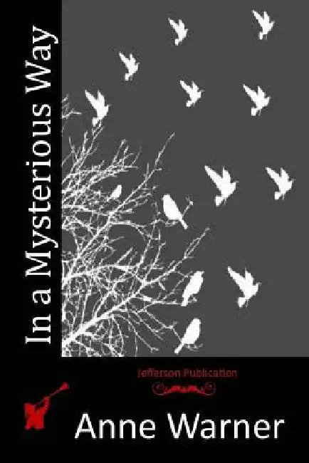 In a Mysterious Way by Anne Warner