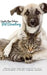 2016 Greater New Orleans Pet Directory by K. B. Lacoste