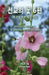 Blossoms 6: Smallest Person's Prayer by Ahn, Il Kwon