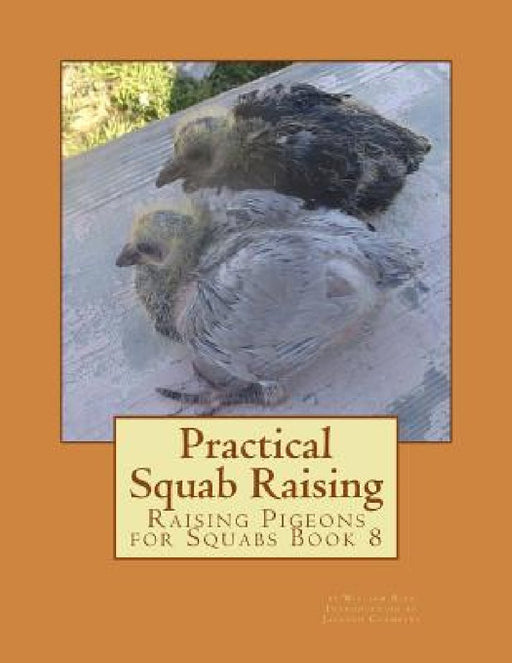Practical Squab Raising: Raising Pigeons for Squabs Book 8 by Jackson Chambers