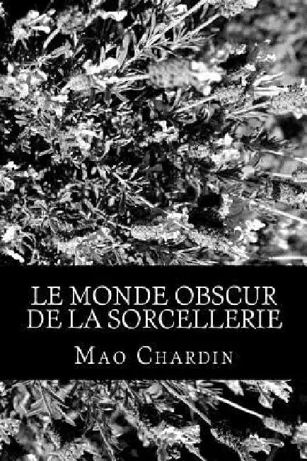 Le monde obscur de la Sorcellerie by Chardin, Mao