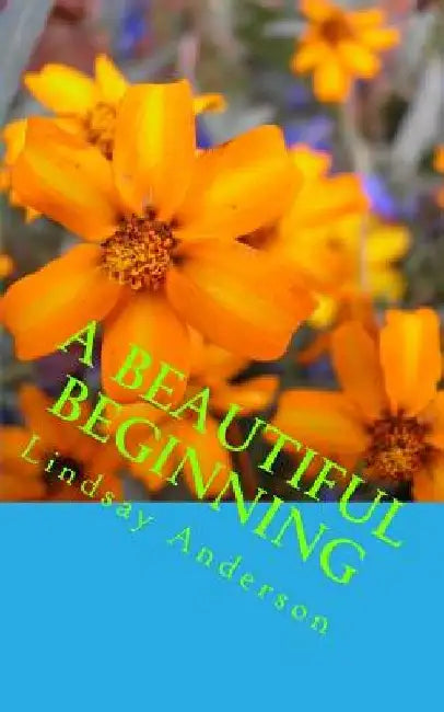 A Beautiful Beginning by Lindsay Anderson