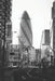 Entrapped: a true story by Marcello Ventrella