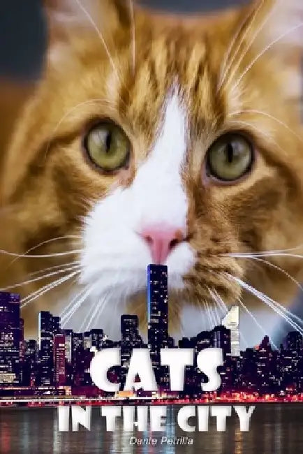 Cats in the City by Dante Petrilla