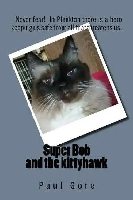 Super Bob and the kittyhawk by Paul Gore