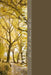 Walking the Talk: A Walk through 1 Peter by Terry L. Morrow