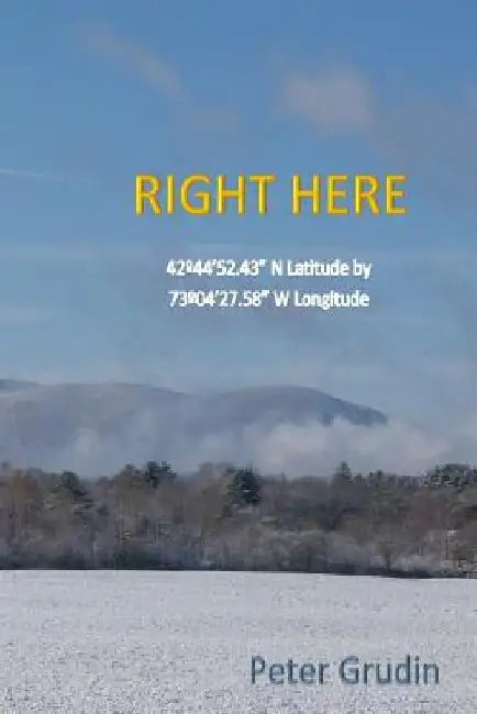Right Here by Peter Grudin
