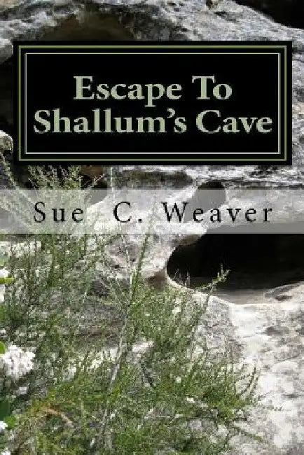 Escape To Shallum's Cave by Sue C. Weaver