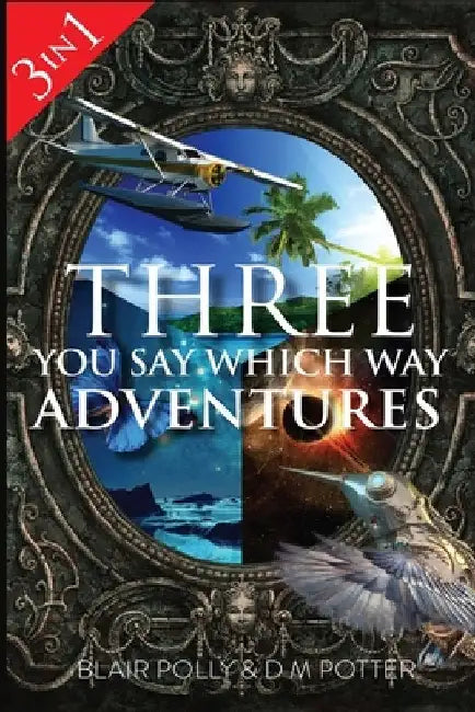 Three You Say Which Way Adventures by DM Potter