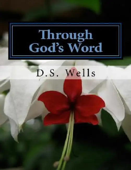 Through God's Word: 300 Day Devotional Workbook by D. S. Wells