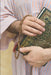 The seven books of Islam: Book I by Lewis