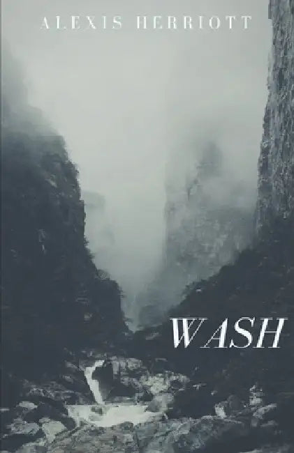 Wash by Alexis Herriott