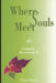 Where Souls Meet: Caring for the seriously ill by Dillon Woods
