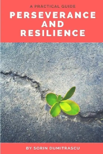 Perseverance and Resilience: A Practical Guide by Sorin Dumitrascu