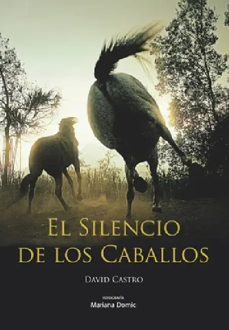 El Silencio de los Caballos by Mariana Domic, Lydia Nevzorova, Natalia Bykova