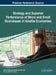 Strategy and Superior Performance of Micro and Small Businesses in Volatile Economies by João Conrado de Amorim Carvalho