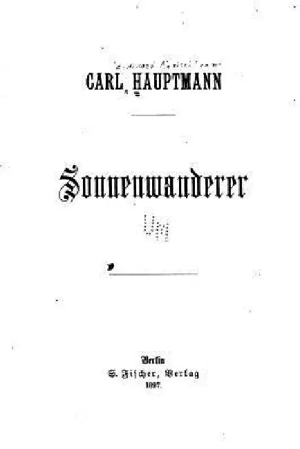 Sonnenwanderer by Hauptmann, Carl