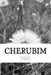 Cherubim: How Hope Got Me to Survive by Christen Hanna Cioffi