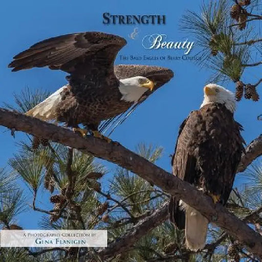 Strength & Beauty: The Bald Eagles of Berry College by Gena Flanigen