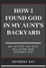 How I Found God In My Aunt's Backyard by Anthony Ray