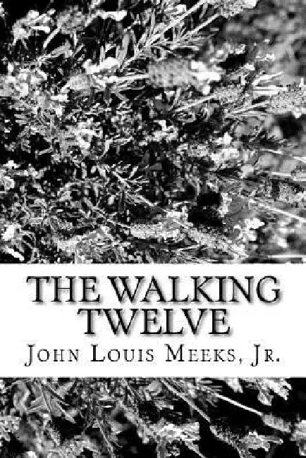 The Walking Twelve: An unofficial and spiritual look at The Walking Dead by John Louis Meeks Jr