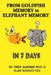 From Goldfish Memory to Elephant Memory in 7 Days by Alan Schultz