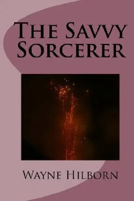 The Savvy Sorcerer by Wayne Hilborn