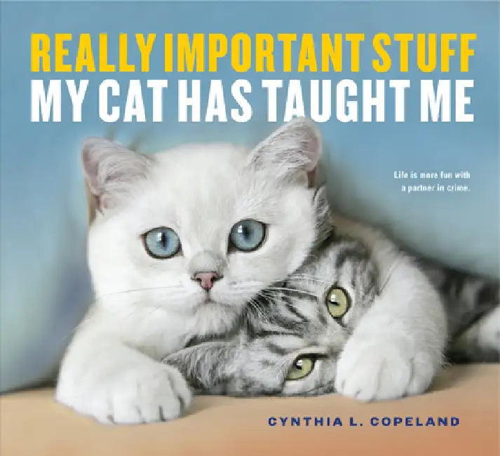 Really Important Stuff My Cat Has Taught Me by Cynthia L. Copeland