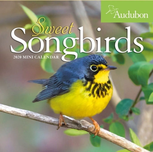 2020 Audubon Sweet Songbirds Mini Wall Calendar by National Audubon Society