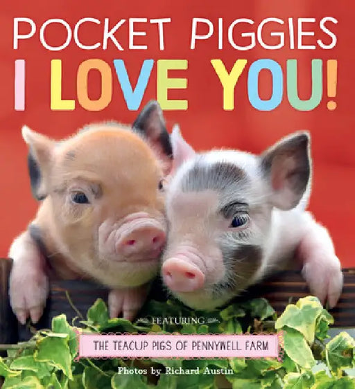 Pocket Piggies: Love by Richard Austin