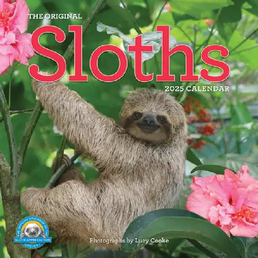 Original Sloths Wall Calendar 2025: The Ultimate Experts at Slowing Down by Lucy Cooke