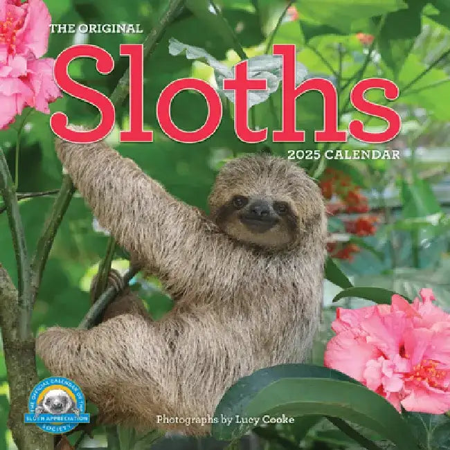 Original Sloths Wall Calendar 2025: The Ultimate Experts at Slowing Down by Lucy Cooke