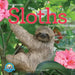 Original Sloths Wall Calendar 2025: The Ultimate Experts at Slowing Down by Lucy Cooke