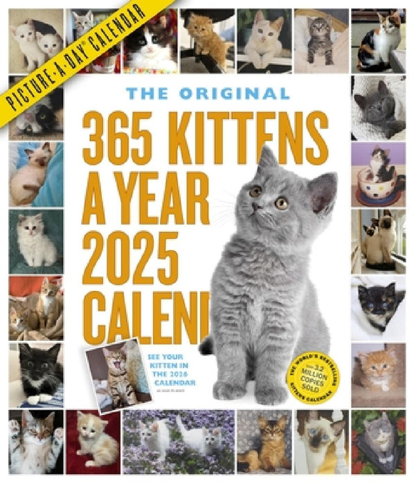 365 Kittens-A-Year Picture-A-Day(r) Wall Calendar 2025 by Workman Calendars