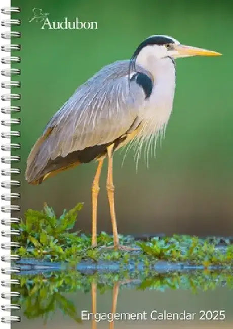Audubon Engagement Calendar 2025: A Tribute to the Wilderness and Its Spectacular Landscapes by National Audubon Society