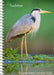 Audubon Engagement Calendar 2025: A Tribute to the Wilderness and Its Spectacular Landscapes by National Audubon Society