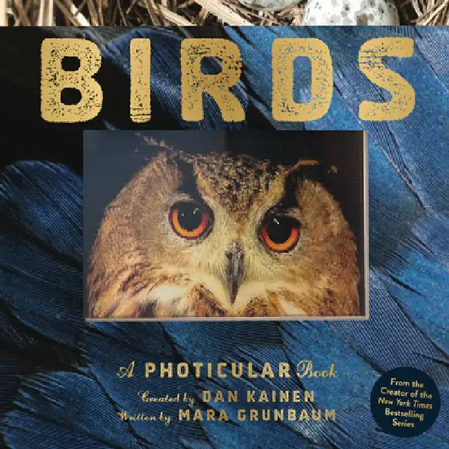 Birds: A Photicular Book by Dan Kainen